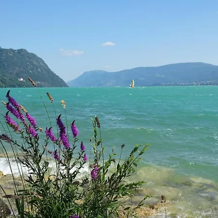 Cosy Clim 3 Etoiles Prox Lac, Riviere Aix Chambery * Viviers-du-Lac